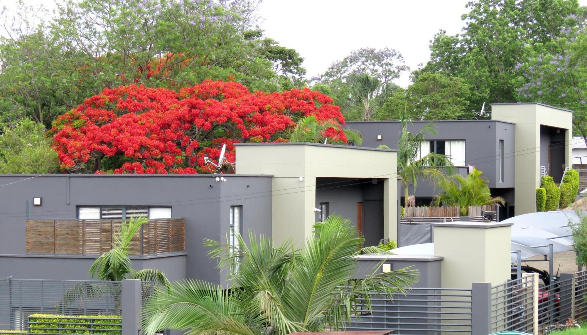 Ezulwini Executive Apartments Exterior foto